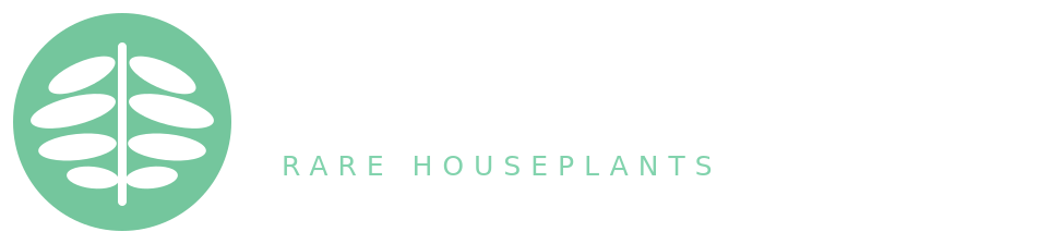 Raymore Living